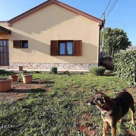 Ana Tatil Evi *