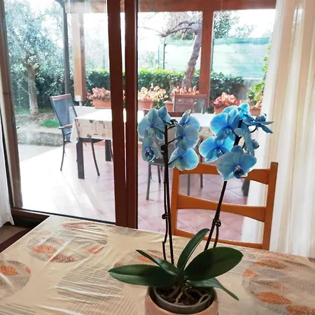 Ana Tatil Evi *